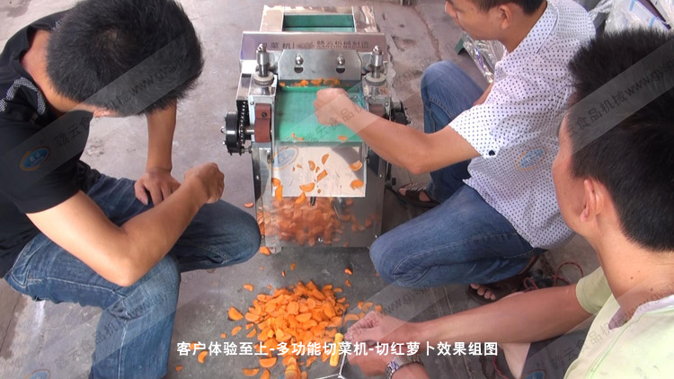 多功能切菜機切胡蘿卜片圖集