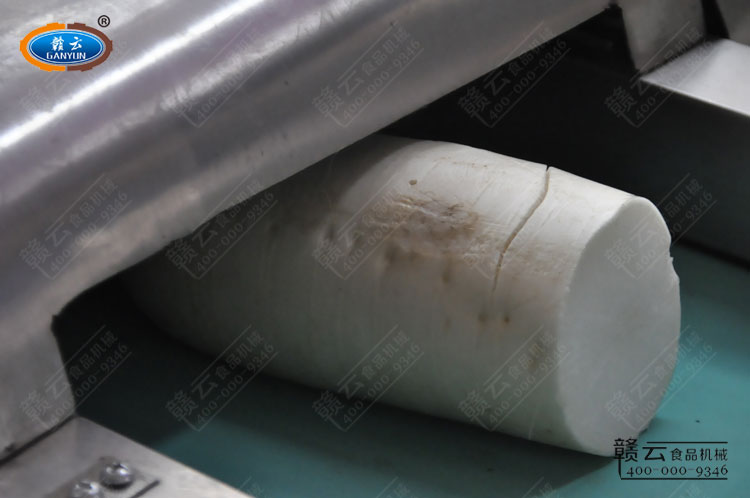 將整個蘿卜放入定做切菜機輸送帶內