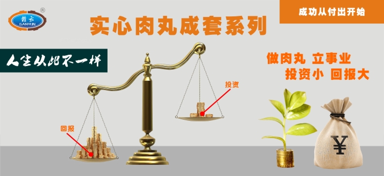 實心肉丸成套設備，讓你從此不一樣