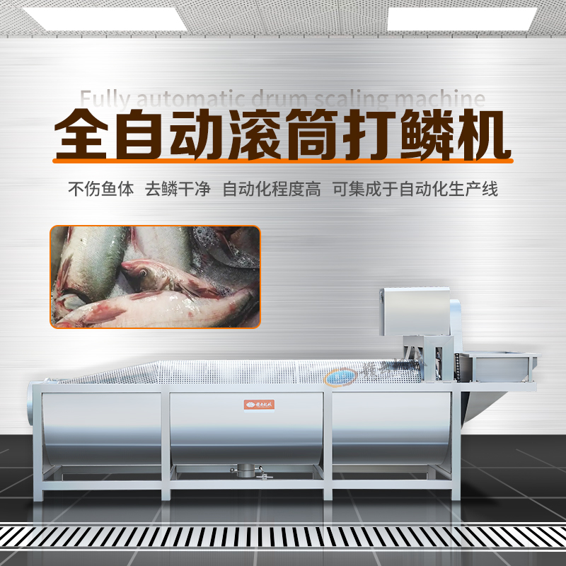 全自動滾筒打鱗機 全自動滾筒打鱗機