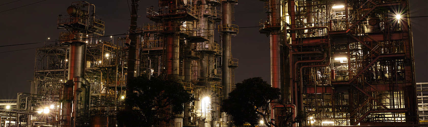 絞肉機(jī)/切肉機(jī)/采肉機(jī)