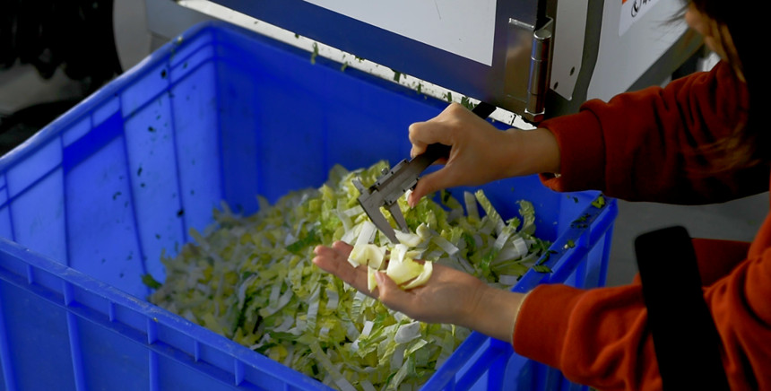 �C������в˙C���в�Ч����Ƭ�����DƬ