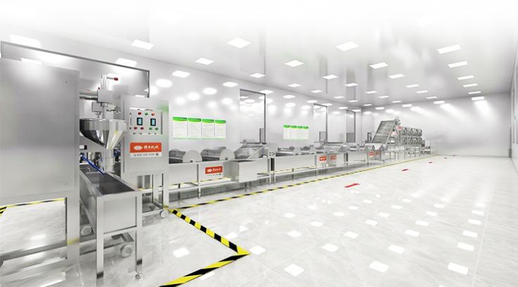 �������a����Ⱦ�D